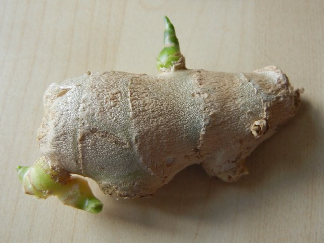 A ginger root, with two green sprouts coming out of it, on a table