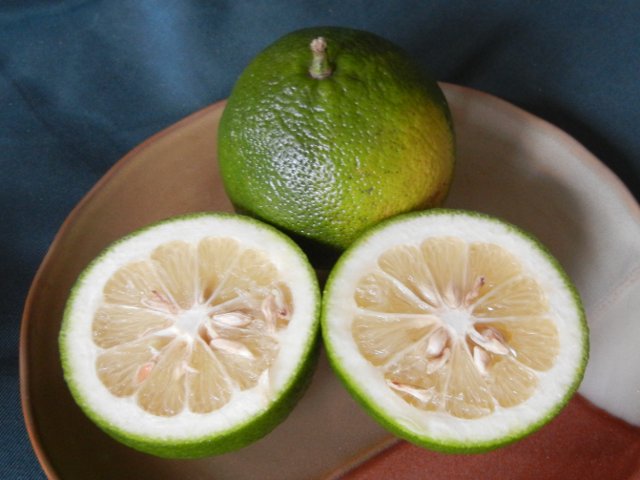 A whole green orange and sliced green orange, showing white pulp and seeds, on a plate