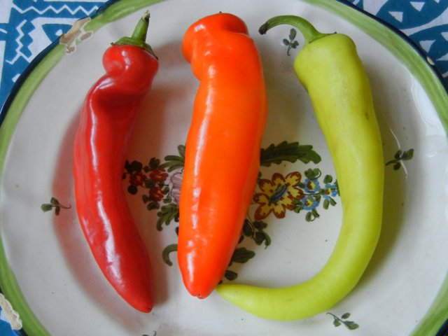 Three hungarian wax peppers on a colorful plate against a blue-and-white tablecloth, showing one bright red pepper, one bright orange, and one yellow-green