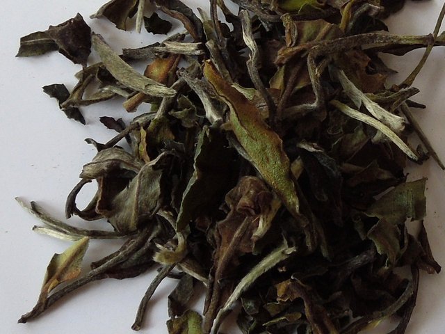 Large pieces of white tea leaf, with heterogeneous color: silvery, green, and brown