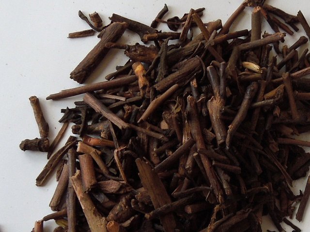 Dark brown twigs on a white background