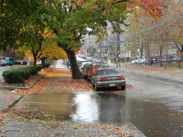 A flooded driveway and fallen autumn leaves on the sidewalk, along a city street
