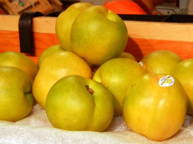 Mango nectarines, green-yellow nectarines, on a shelf with a sign reading: Mango Nectarine - $3.99 lb
