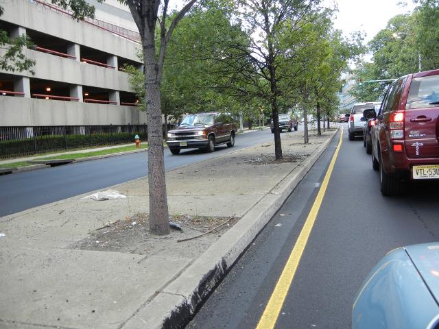 A concrete median on a busy street, littered with broken glass, branches, trash, and other debris, a few stunted trees growing in it, and a parking garage on the left