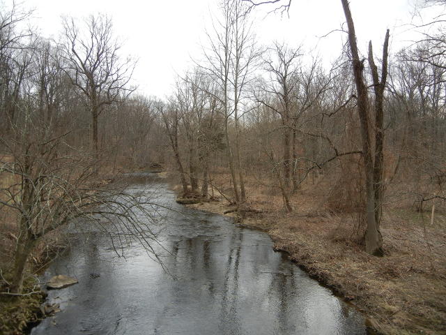 A fairly wide creek, in a forested area, in winter