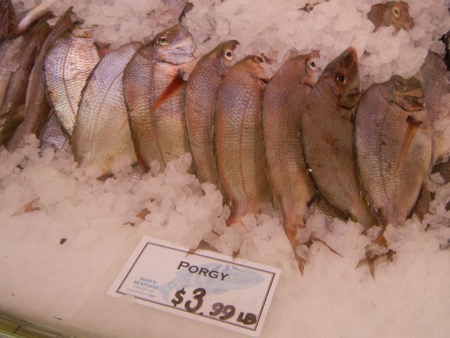 Porgy (Scup) for sale, in a bed of ice, with a sign marked: Porgy, $3.99 lb