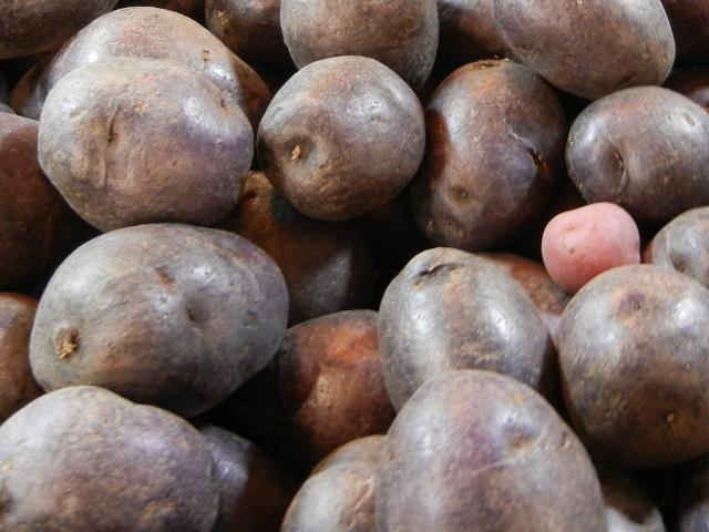 Whole, large, purple potatos, with one small red potato mixed in