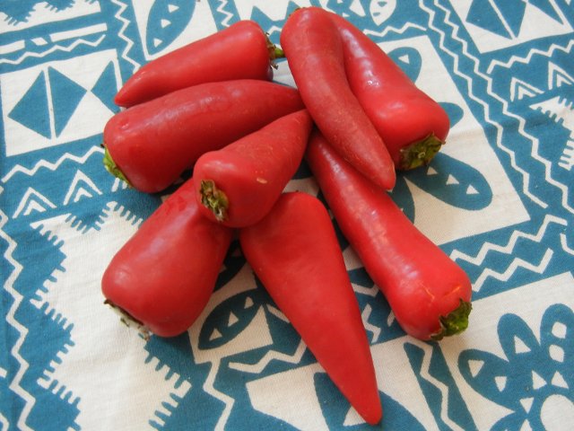 Small, red, cone-shaped peppers, on a blue and white patterned tablecloth