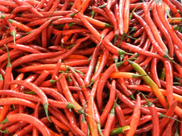 Long, narrow, straight, red chili peppers