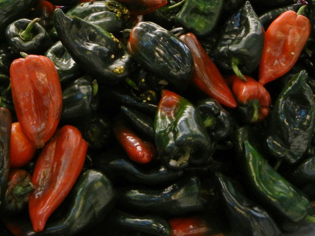 Poblano peppers, large, pointy peppers, most very dark green and shiny,  with some turning a deep red tinged with blackish-green