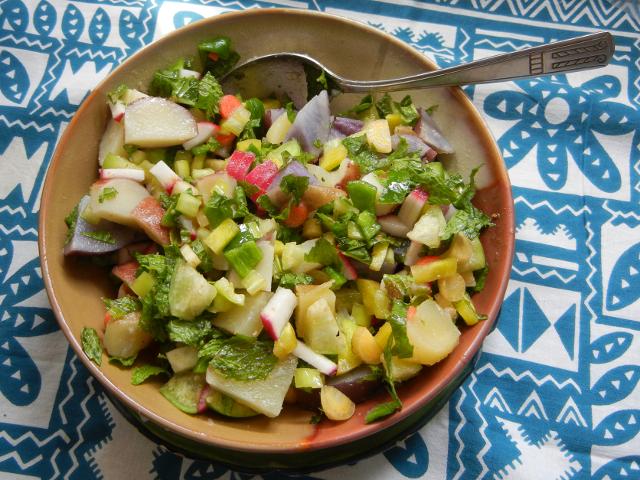 A bowl with a colorful salad containing numerous finely-chopped things