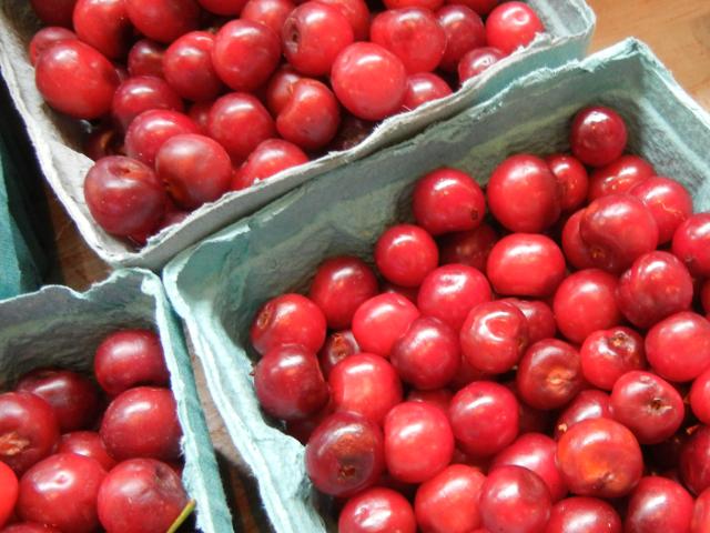 Sour cherries in blue-green containers