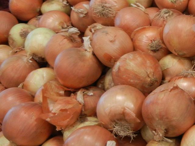 Spanish onions, yellow onions, for sale in a large bin