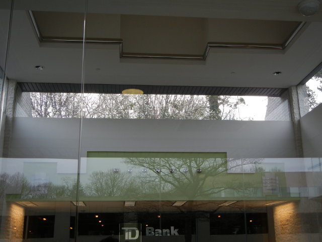 A strange photo taken looking up into the top part of a modern bank lobby, showing some bare tree branches visible out the window, and more bare tree branches visible in a reflection looking out a window behind the picture, and the TD Bank logo at the bot
