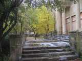 Stone steps leading up to a boarded-up church, with trees in the background, one turning yellow in early fall colors