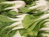 Bok choy, clusters of thick, white stalks and green leaves with white veins