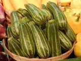 A basket of striped bush zucchini, dark green with light green stripes, with some onions on the left and yellow squash on the right and behind