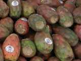 Cactus pears, a deep red and green in color