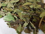 Closeup of dried, broken leaves with a rich green color and some light brown