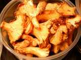 Chanterelle mushrooms, yellow, funnel-shaped mushrooms with lots of gills, in a plastic container