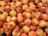 A large number of peaches