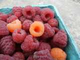 A container of red raspberries, with a few golden raspberries, a golden orange color, mixed in