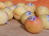Golden tree pluots on a shelf, a peachy-yellow, plum-like fruit, with produce stickers showing PLU code 3610