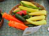 A basket of assorted hot peppers, orange, yellow, red, dark green and light green, and a sign reading: Hot peppers, 20 cents each