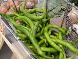 Organic cayenne peppers, long, narrow, green, slightly crinkly peppers, in a metal basket