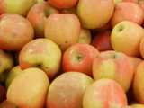 Pink lady apples, yellow and pink colored