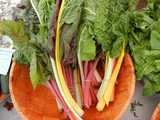 Bundled stalks of rainbow swiss chard, yellow, orange, purple, and white stems and veins, with green leaves, in a bowl