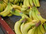 Bunches of ripe yellow bananas, bearing the Del Monte brand name