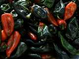 Poblano peppers, large, pointy peppers, most very dark green and shiny,  with some turning a deep red tinged with blackish-green