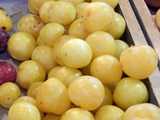Shiro plums, pale yellow, slightly pointed plums