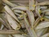 A bin of smelts, very small silvery-grey fish with heads removed and yellow-colored tail fins which are cut short