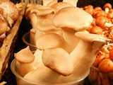 Trumpet royal mushrooms, very pale in color, showing a small flat cap and long, thick stem