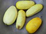 Small yellow cucumbers, one dark yellow, the others pale yellow, most slightly wider than pickling cucumbers but similar in size and shape