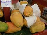 Very large, yellow papyas (ripe maradol papayas) with a sign reading yellow papaya 99 cents a pound