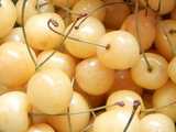 Pale yellow cherries with thin green stems