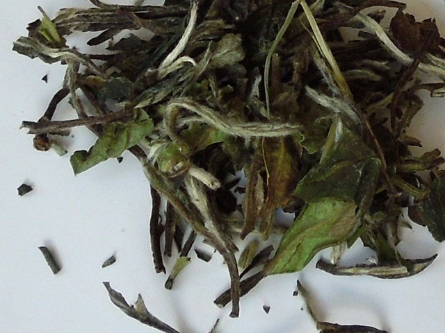 large dark green tea leaves, with some brown and some silvery downy tips