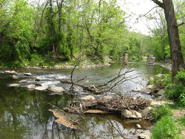 A large, open creek in a forested area, leafing out in spring, with two pillars from an old bridge visible in the distance