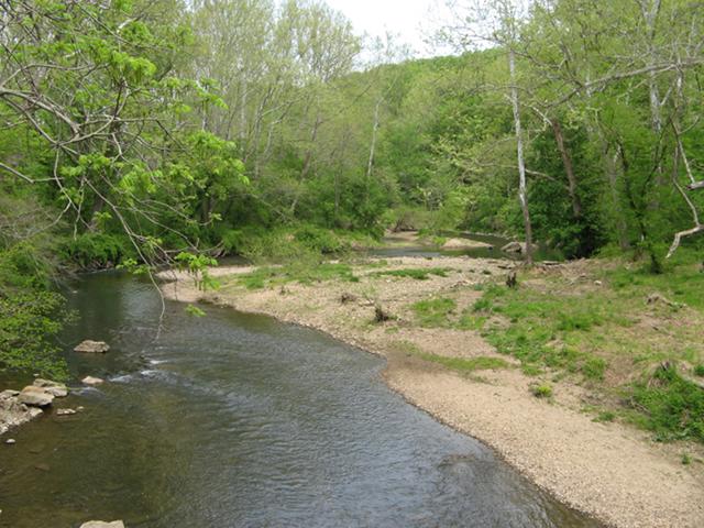 A meandering creek with a rocky sandbar on the right, and forest on either side, in spring