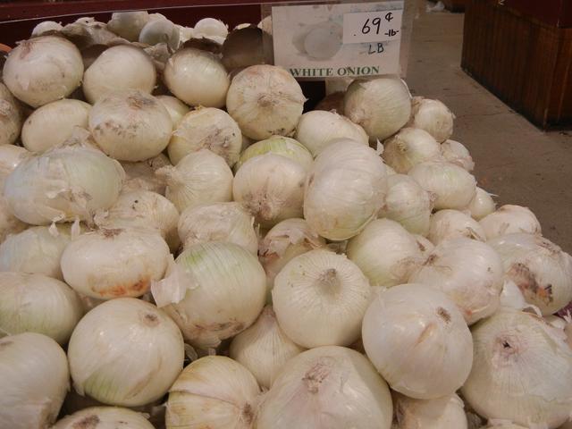Numerous White Onions in a bin, a sign reading: white onion, 69 cents -lb-