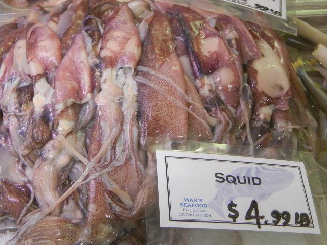 A plastic bin containing whole squid for sale, with a sign reading: SQUID $4.99 LB